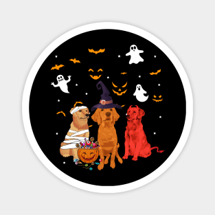 Funny Three Golden Retriever Halloween Gift Shirt Magnet